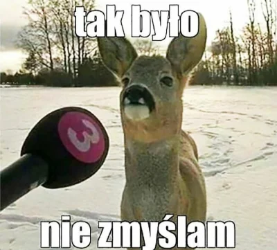 vytah - > (Dla heheszkow nie pilem )

@wAlecznapalka69: