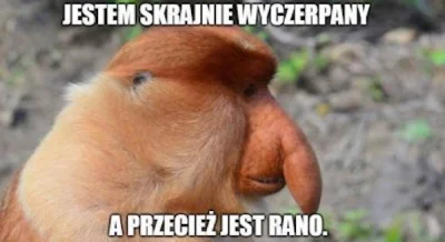 JanDzbanPL - Jest piątek, ale jutro też do januszexu #przegryw #pracbaza