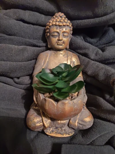 jazmojegopokoju - Kupiłem sobie Buddę z kwiatkiem (｡◕‿‿◕｡)
#buddyzm #budda #chwalesie