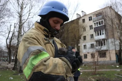 wfyokyga - Kiciuś uratowany.
#ukraina