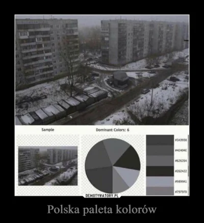 s.....m - @RakunG: no wiadomo w Polsce tylko odcienie szarego zgodnie z paletą