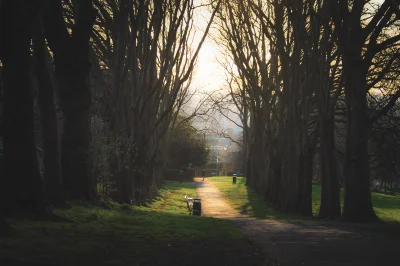 lebele - Park w Bristolu, Anglia

#boysinbristol #fotografia #podroze #tworczoscwla...