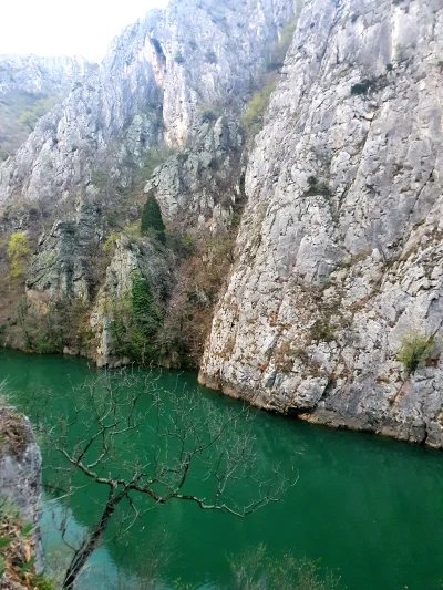 Oszaty - Drzepko w Kanionie Matka
#macedonia #podroze