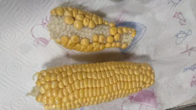 matiwoj11 - Taką kukurydzę dzisiaj odebrałem wśród zamówionych zakupów (✌ ﾟ ∀ ﾟ)☞
SPO...