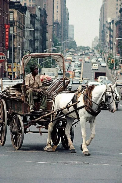 JanParowka - Surrealistyczny widok - Nowy Jork, lata 70.
Gościu se jedzie bryczką na...