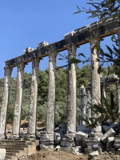 Borealny - Świątynia Zeusa Lepsinosa, Euromus
#historia #starozytnosc #grecja #zabytk...
