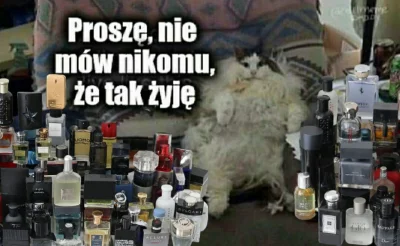 bydgoszczvx - XD
#perfumy