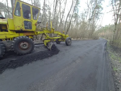 Jerzu - Na sławnym dwukilometrowym odcinku drogi z Kampinosu do Górek, spotkałem dziś...