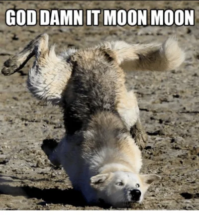 Stalowa_Figura - Typowy Moon Moon jest typowy xD