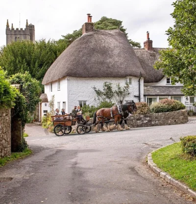 cheeseandonion - North Bovey

#devon