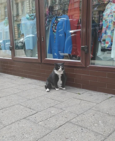 Czauczesko - Chonky boy
#szczecin