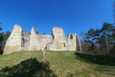 WR9100 - Ruiny zamku w Bydlinie znajdują się na Szlaku Orlich Gniazd, mniej więcej w ...