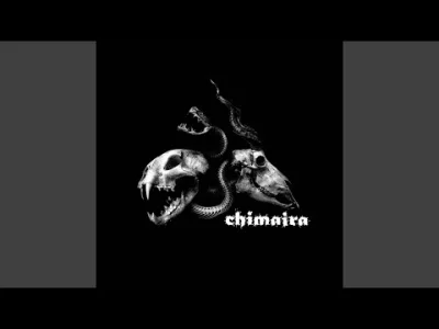 evolved - #chimaira #metal #muzyka