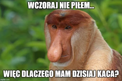 marcu56 - Nic wczoraj nie piłem, a mogłem bo czuje się od rana jakbym pił. To pewnie ...