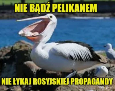 t.....l - @trzeci: dobry bait, a pelikany łykajo....