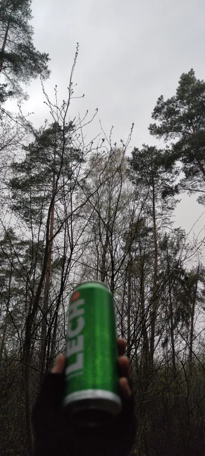 Pijany_Druid - Sobota rano to idealna pora na wypad do lasu w celu spożycia alkoholu,...