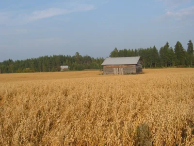 nowyjesttu - Ciekawostka: Finlandia jest czwartym (niedawno trzecim), największym na ...