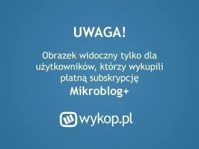 tomeks85 - @jajochlebki: mikroblog plus