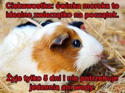 Ejszyn - Zgadzacie się?
#humorobrazkowy