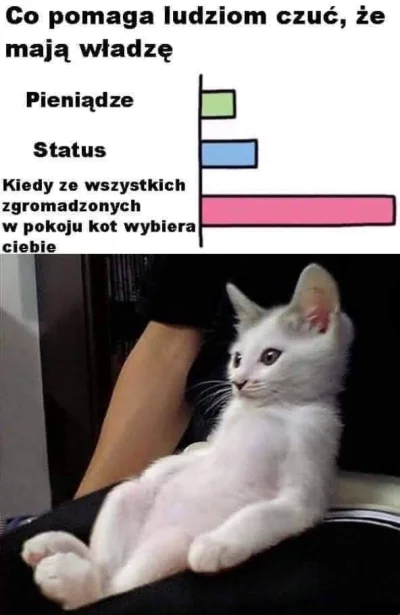 Asgareth - #heheszki #smiesznekotki #koty #humorobrazkowy