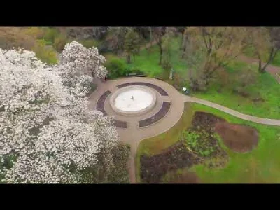 wbielak - Wiosna i ogród botaniczny UJ.
#drony #fpv #krakow