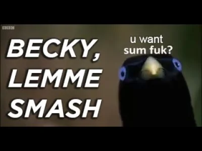 pwn3r - @ef4L: BECKY LEMME SMASH