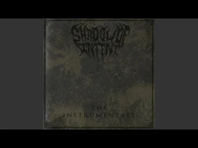 evolved - #shadowofintent #metal #deathcore #symphonicmetal 
SPOILER
