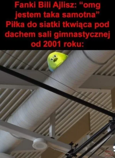 niewiem_nierozumiem