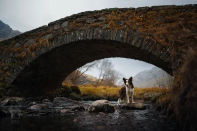 Aenkill - Wczorajsza mini wycieczka na foty.

#fotoaenkill - tag do obserwowania
@...