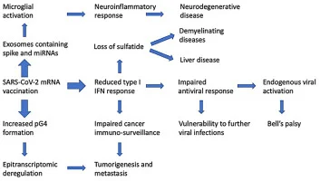 Earna - https://www.sciencedirect.com/science/article/pii/S027869152200206X?via%3Dihu...