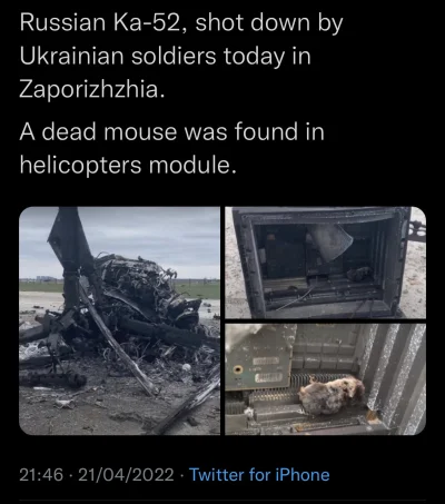 Monochrome_Man - Orkowa mysz bojowa xD

#ukraina #heheszki