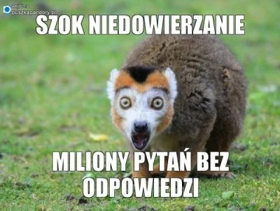 p.....Z - @Jacolex: bo dieta wege jest w większości podytkowana pobudkami etycznymi a...