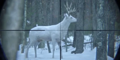 malalon - @Iandschaft: Follow the White Deer.

Crossover episode?


SPOILER