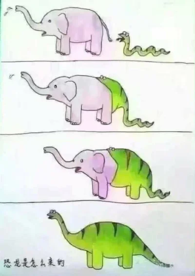 contrast - #humor #humorobrazkowy #memy #smieszneobrazki #biologia #ewolucja #dinozau...
