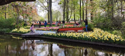 T3sla - #holandia #keukenhof #kwiatyboners