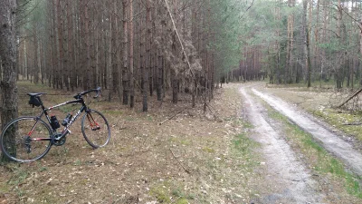 krabozwierz - Zbieranie kwadratów wymaga poświęceń. Na zdjęciu szosza w wersji łofroł...