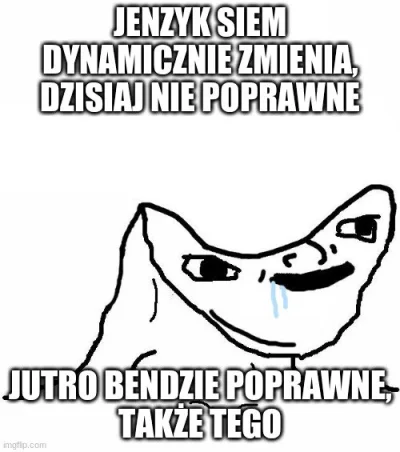 bodzar - @vipe zwykle gdy jakaś osoba nie jest w stanie ogarnąć zasad naszego języka.