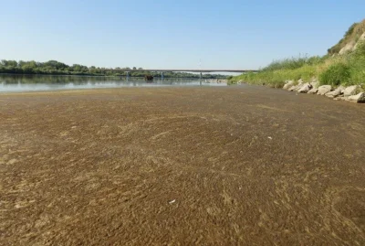 Delikk - jeśli stolica sra prosto do rzeki, dziwne aby raport wyglądał inaczej ( ͡° ͜...