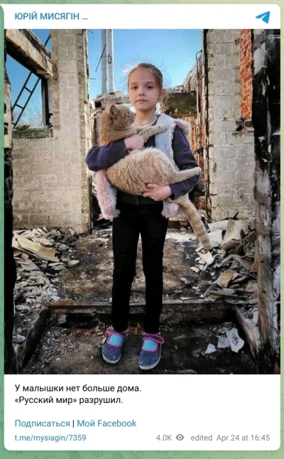 Mikuuuus - #wojna #rosja #ukraina #dzieci #kitku #koty #zwierzaczki