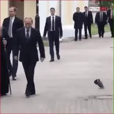 q.....r - Nikt nie plusuje gołębia salotujacemu Putinowi :(