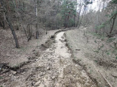 proweniencja - Niech pokaże jeszcze raz Sztołę. A zapomniałem, już jej przecież nie m...