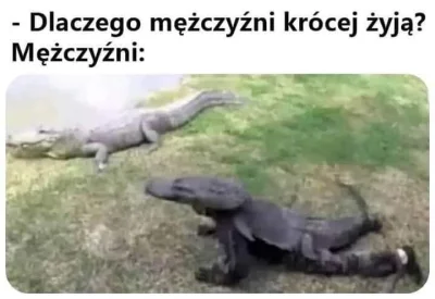 Zabojcza_Rozowa - Taka prawda xD #meme #memy #humorobrazkowy #heheszki