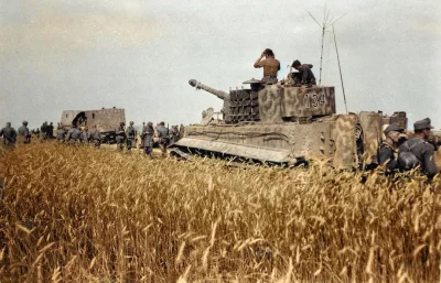 wfyokyga - To na koniec, Panzerkampfwagen VI Tiger w zbożu.
#nocneczolgi