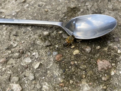 Bakys - Witam Mirków i Mirabelki, chciałbym jedynie poinformować o pomyślnym zakończe...