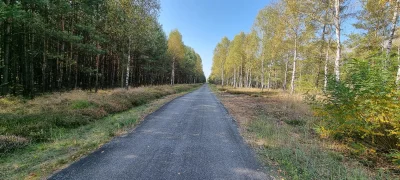 Masterczulki - Ta "ulica" się ciągnie ponad 5km w tym lesie.