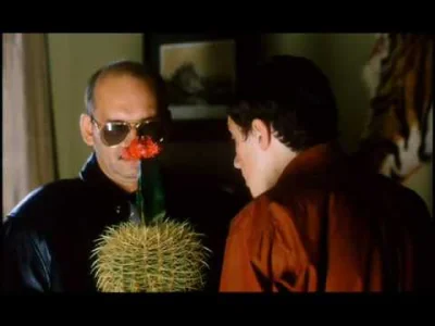 CCCCC - > kaktusa? serio kurna?

@blogger: To nie jest jakiś tam kaktus. To jest be...