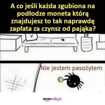 Hahehihujaja - @agaciksa: tylko zamiast pająka Twój piesek ( ͡° ͜ʖ ͡°)