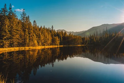 iErdo - Staw Smerczyński, Tatry

Obserwuj tag #pixerdo z moimi autorskimi zdjęciami...