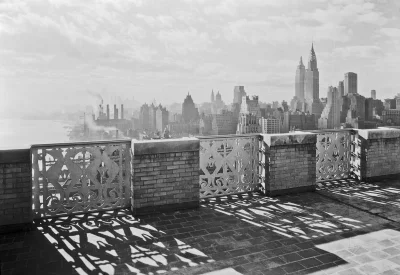 myrmekochoria - Nowy Jork, 1931. 

#starszezwoje - blog ze starymi grafikami, miedz...