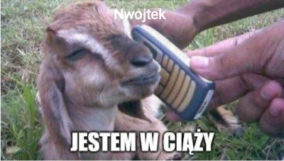 Zirf1337 - @Nwojtek: ( ͡° ͜ʖ ͡°)